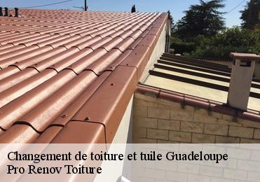 Changement de toiture et tuile 971 Guadeloupe  Pro Renov Toiture