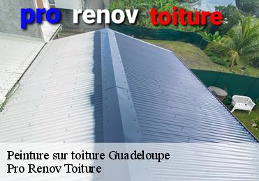 Peinture sur toiture 971 Guadeloupe  Pro Renov Toiture