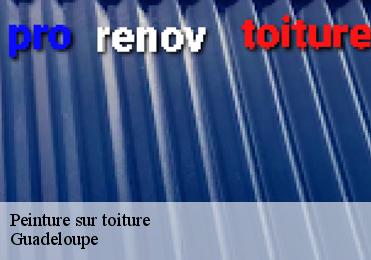 Peinture sur toiture Guadeloupe