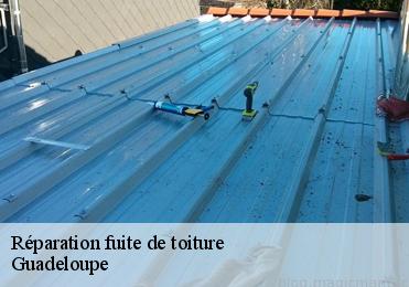Réparation fuite de toiture Guadeloupe 