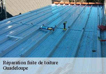 Réparation fuite de toiture Guadeloupe