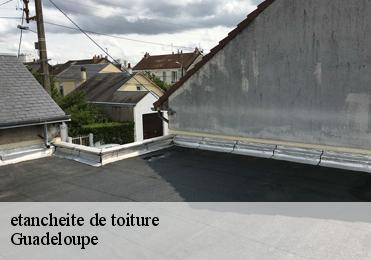 etancheite de toiture Guadeloupe