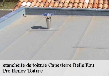 etancheite de toiture capesterre-belle-eau-97130 Pro Renov Toiture