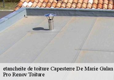 etancheite de toiture  capesterre-de-marie-galan-97140 Pro Renov Toiture