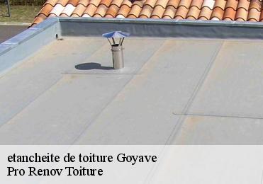 etancheite de toiture  goyave-97128 Pro Renov Toiture
