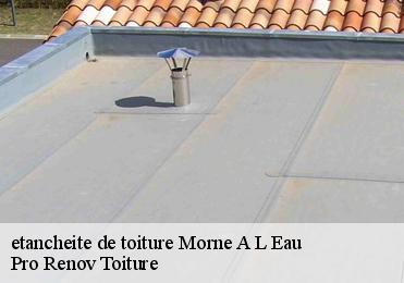 etancheite de toiture morne-a-l-eau-97111 Pro Renov Toiture