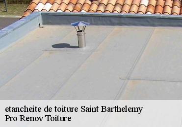etancheite de toiture  saint-barthelemy-97133 Pro Renov Toiture