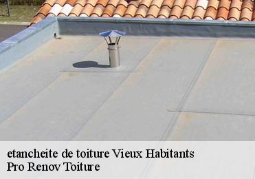etancheite de toiture vieux-habitants-97119 Pro Renov Toiture