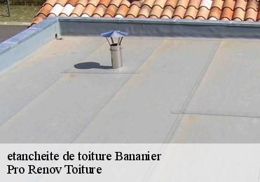 etancheite de toiture  bananier-97130 Pro Renov Toiture