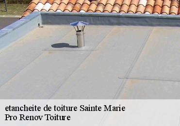 etancheite de toiture  sainte-marie-97130 Pro Renov Toiture