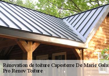 Rénovation de toiture  capesterre-de-marie-galan-97140 Pro Renov Toiture