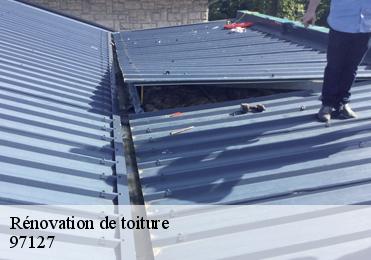 Rénovation de toiture 97127