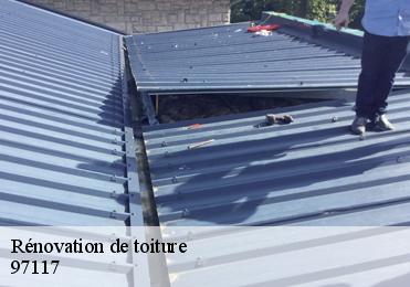 Rénovation de toiture 97117