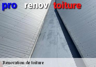 Rénovation de toiture