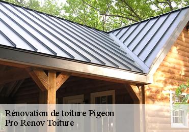 Rénovation de toiture pigeon-97132 Pro Renov Toiture