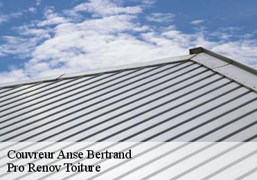 Couvreur anse-bertrand-97121 Pro Renov Toiture