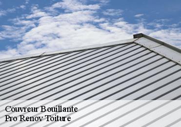 Couvreur bouillante-97125 Pro Renov Toiture