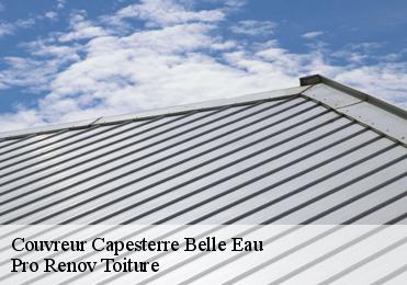 Couvreur capesterre-belle-eau-97130 Pro Renov Toiture