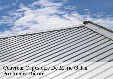 Couvreur  capesterre-de-marie-galan-97140 Pro Renov Toiture