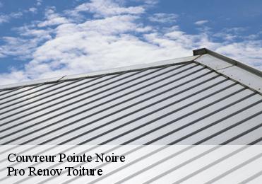Couvreur pointe-noire-97116 Pro Renov Toiture