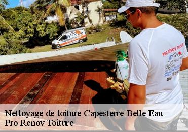 Nettoyage de toiture  capesterre-belle-eau-97130 Pro Renov Toiture