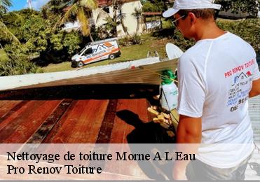 Nettoyage de toiture morne-a-l-eau-97111 Pro Renov Toiture