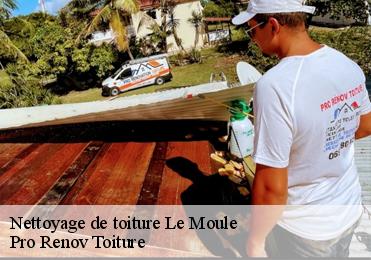 Nettoyage de toiture  le-moule-97160 Pro Renov Toiture