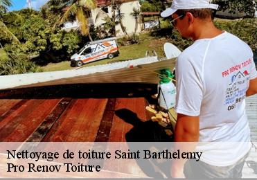 Nettoyage de toiture saint-barthelemy-97133 Pro Renov Toiture