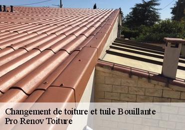 Changement de toiture et tuile  bouillante-97125 Pro Renov Toiture
