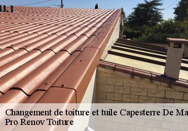 Changement de toiture et tuile capesterre-de-marie-galan-97140 Pro Renov Toiture