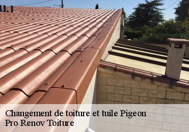 Changement de toiture et tuile  pigeon-97132 Pro Renov Toiture