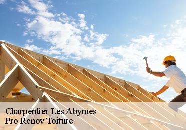 Charpentier  les-abymes-97139 Pro Renov Toiture