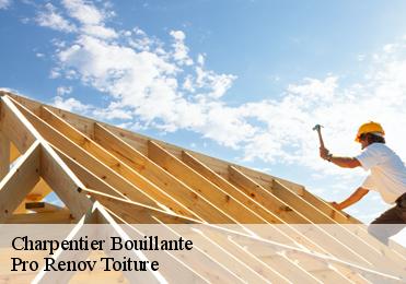 Charpentier  bouillante-97125 Pro Renov Toiture