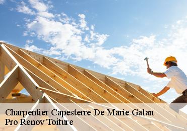 Charpentier  capesterre-de-marie-galan-97140 Pro Renov Toiture