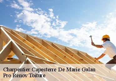 Charpentier capesterre-de-marie-galan-97140 Pro Renov Toiture