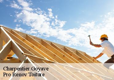 Charpentier goyave-97128 Pro Renov Toiture