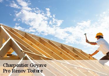 Charpentier  goyave-97128 Pro Renov Toiture