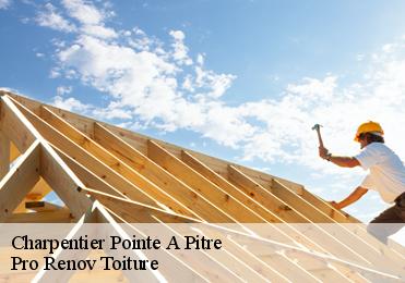 Charpentier  pointe-a-pitre-97110 Pro Renov Toiture