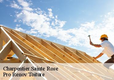 Charpentier  sainte-rose-97115 Pro Renov Toiture
