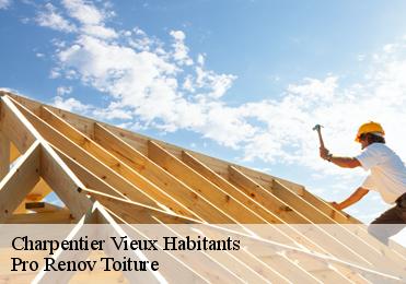 Charpentier vieux-habitants-97119 Pro Renov Toiture