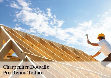 Charpentier douville-97180 Pro Renov Toiture