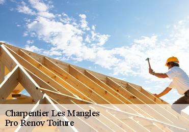 Charpentier  les-mangles-97131 Pro Renov Toiture