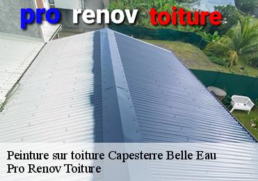 Peinture sur toiture  capesterre-belle-eau-97130 Pro Renov Toiture