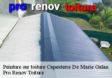 Peinture sur toiture  capesterre-de-marie-galan-97140 Pro Renov Toiture