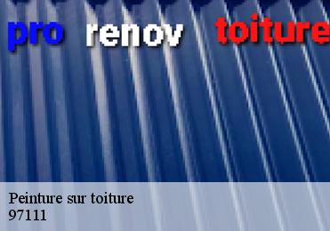 Peinture sur toiture  97111