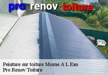 Peinture sur toiture  morne-a-l-eau-97111 Pro Renov Toiture