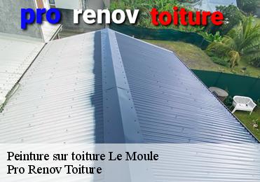 Peinture sur toiture  le-moule-97160 Pro Renov Toiture