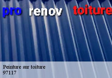 Peinture sur toiture 97117