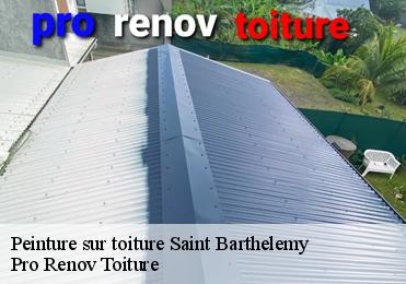 Peinture sur toiture saint-barthelemy-97133 Pro Renov Toiture