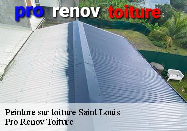Peinture sur toiture saint-louis-97134 Pro Renov Toiture